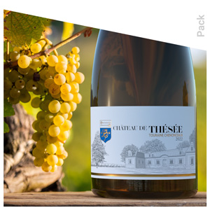Packaging Château de Thésée